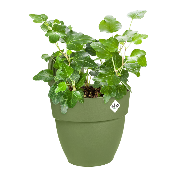 vibia campana easy hanger small mosgroen